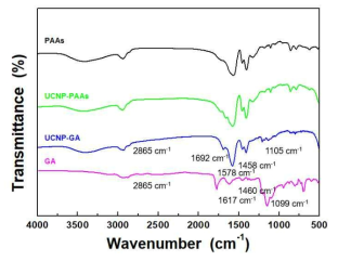 PAAs, PAAs 표면 개질된 upconversion 나노형광체, GA 및 GA가 conjugation된 upconversion 나노형광체의 FT-IR 스펙트럼