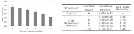 Result of Gamma Irradiation treatment against suspension of Murine Norovirus-1