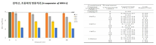 Result of Combined treatment with Gamma irradiation and ultrasound against of MNV-1 suspension