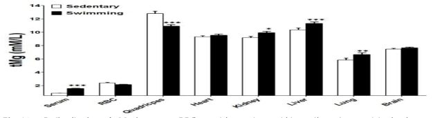 Redistribution of tMg in serum, RBC, quadricpes, heart, kidney, liver, lung and brain tissue during exhausting swimming exercise