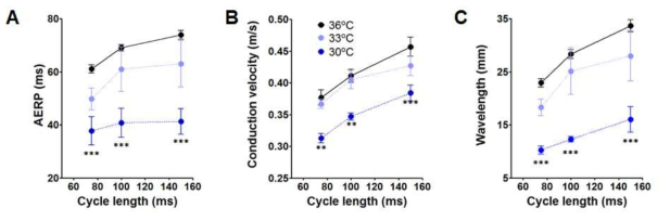 Effects of severe hypothermia on atrial electrophysiological parameters