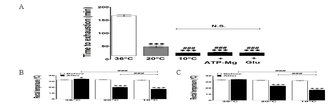 Effects of accidental hypothermia on time to exhaustion (A) and rectal temperature (B; exhausted, C; 10 min swimming)