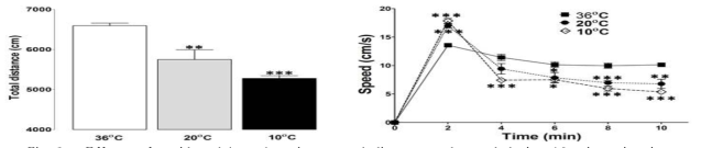 Effects of accidental hypothermia on total distance and speed during 10 min swimming