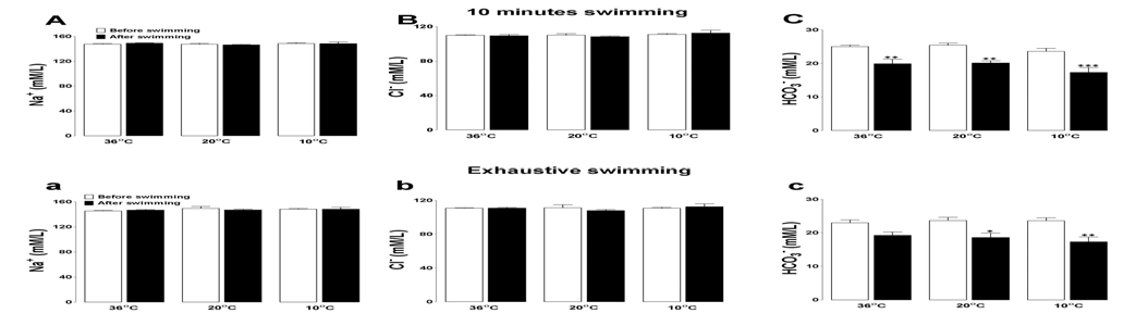 Effects of accidental hypothermia on blood free Na+, Cl- and HCO3- (A, B and C; 10 min swimming. a, b and c; exhaustion.)