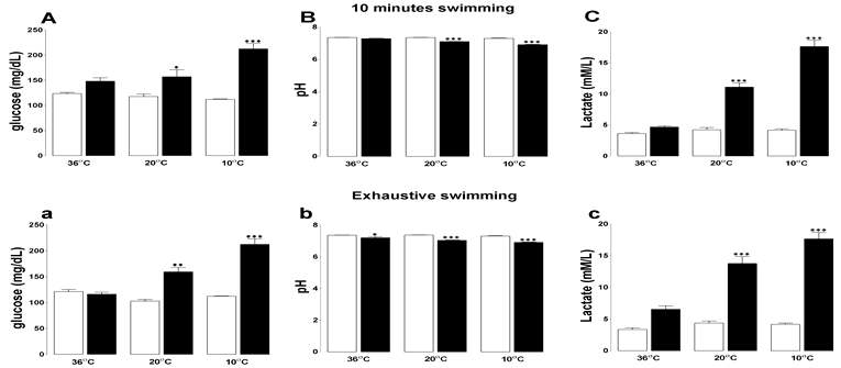 Effects of accidental hypothermia on blood glucose, pH and lactate (A, B and C; 10 min swimming. a, b and c; exhaustion.)