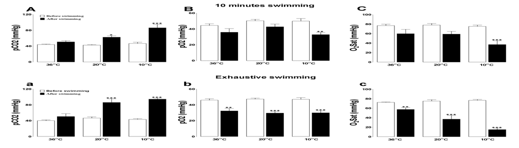 Effects of accidental hypothermia on blood pCO2 (partial pressure of carbon dioxide), pO2 (partial pressure of oxygen) and O2sat (oxygensaturation) (A, B and C; 10 min swimming. a, b and c; exhaustion.)