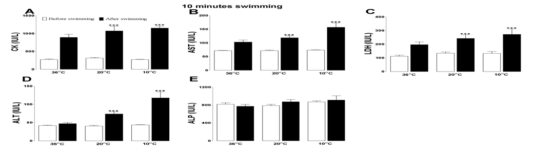 Effects of accidental hypothermia on blood CK (creatinine kinase), AST (aspartate aminotransferase), LDH (lactate dehydrogenase), ALT (alanine aminotransferase) and ALP (alkaline phosphatase)