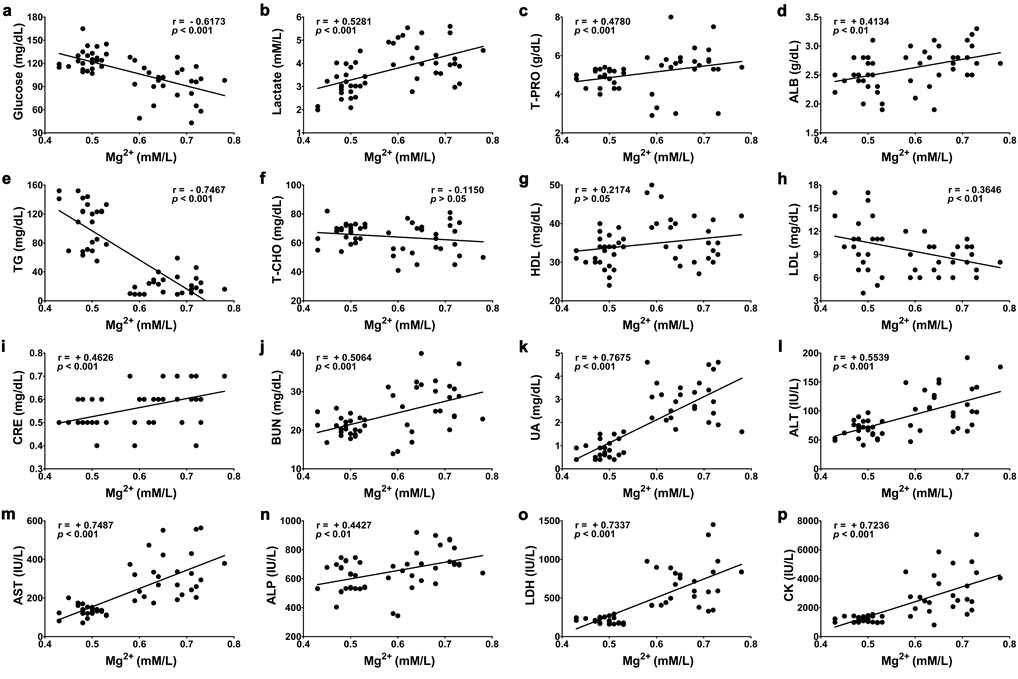 Spearman’s rank correlation between blood free Mg2+ and metabolites/enzymes during exhausting swimming exercise