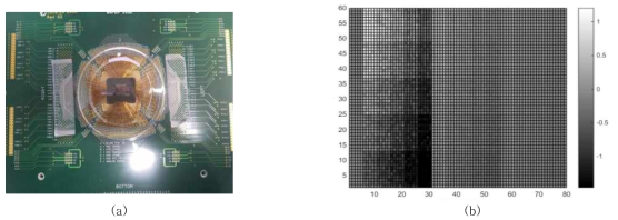 웨이퍼레벨 테스트 성능평가를 위해 설계/제작된 프로브카드(a)와 이를 이용하여 측정된 테스트용 폴리저항 어레이의 2D 영상(b)