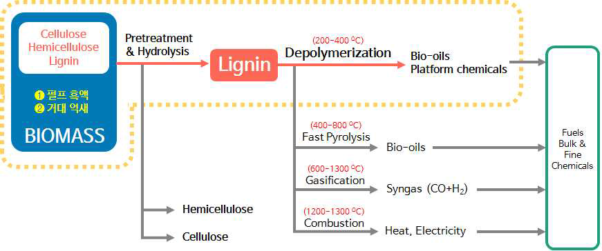 리그닌 바이오리파이너리 및 연구 개발 방향 모식도 (점선: 본 과제에서 개발하고자 하는 방향을 제시함)