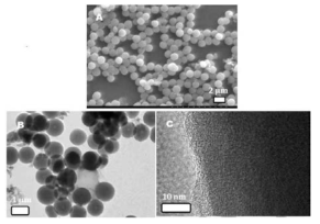 HPN microspheres 의 SEM (A)과 TEM (B, C) 사진