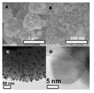 Pd nanoparticles이 흡착된 HPN의 SEM and TEM 사진. 600 °C에서 carbonization하기 전(A, C)과 후(B, D)