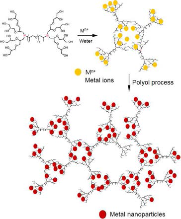 합성된 HBP에서 Au 또는 Ag nanoparticles 제조