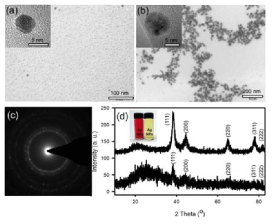 HBP으로부터 제조된 Au nanoparticles (a)과 Ag nanoparticle (b)의 TEM 사진과 Au nanoparticles의 Selected Area Electron Diffraction (SAED) 패턴 (c), Au nanoparticles (위)과 Ag nanoparticle (아래)의 X-ray 회절 패턴) (d)