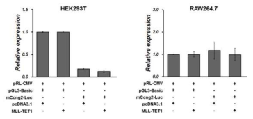 MLL-TET1에 의한 Ccng2 promoter activity의 변화