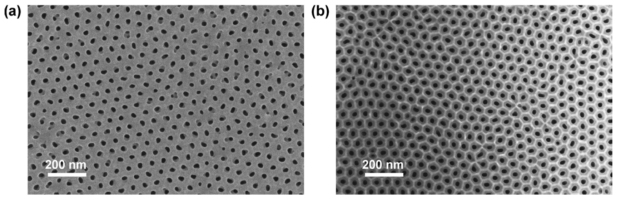 SEM images of the through hole AAO fabricated by using highly soluble sacrificial AAO Layer. (a) Open Pore side. (b) Barrier side