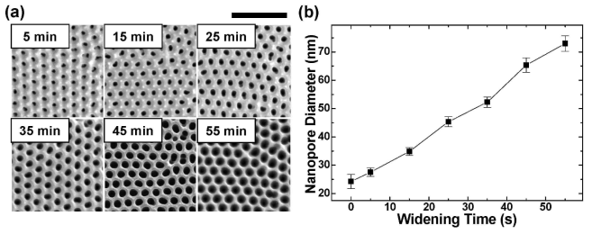 (a) SEM images of the AAOs after pore-widening procedure in the dilute phosphoric acid solution for 5–55 min. Scale bar is 500 nm. (b) Variation of the averaged DP with respect to widening time