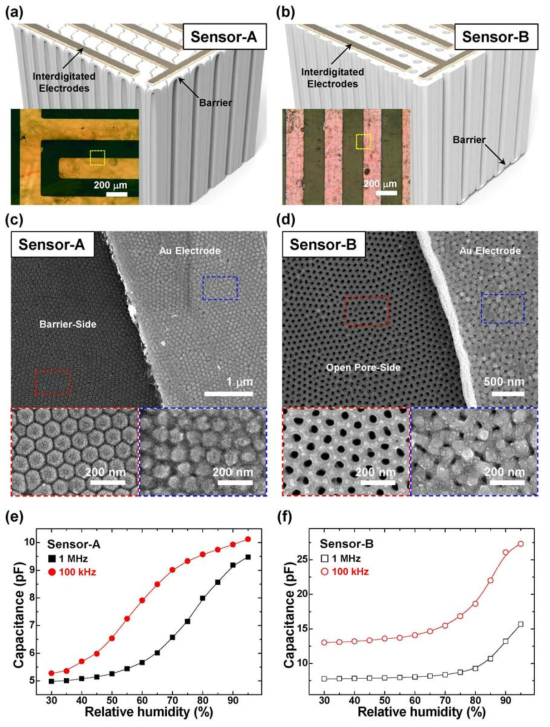 Capacitive humidity sensors based on the nanoporous AAOs. (a and b) Schematic diagrams of the AAO humidity sensors, in which the interdigitated electrodes placed on (a) barrier side and (b) open-pore side. The each inset shows the optical microscope image of the interdigitated electrodes in the corresponding sensor. (c and d) SEM images of the yellow-dashed boxes in the insets of (a and b), respectively. Each left and right insets shows the magnified SEM images of corresponding red-dashed and blue-dashed boxes in (c and d), respectively. (e and f) RH dependent capacitance variation of the AAO sensors with the interdigitated electrodes on (e) barrier side and (f) open-pore side, respectively