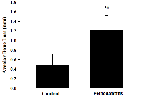 Mean aveolar bone loss (mm) in control and periodontitis group. ** p<0.01, control vs periodontitis