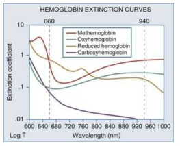 무기물과 결합한 헤모글로빈의 파장대별 흡광계수 특선곡선