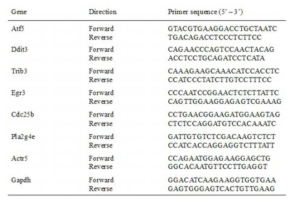 qRT-PCR을 위한 각 유전자의 프라이머 시퀀스