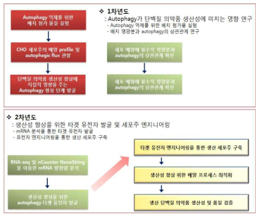 연구 추진전략