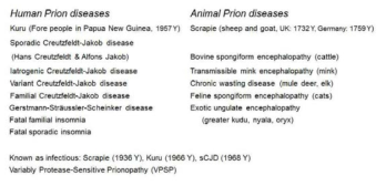 Prion diseases in humans and animals