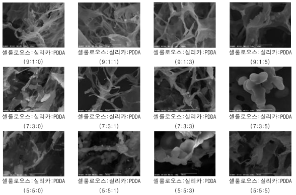 CNF-silica 복합소재의 SEM 이미지