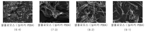 CNF-p-silica 복합소재의 SEM 이미지