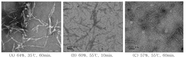 황산 반응 조건별 거대억새 나노셀룰로오스의 TEM 이미지