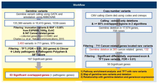 분석 Workflow