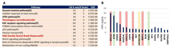 Rare variants 관련 pathway 및 TFT 분석