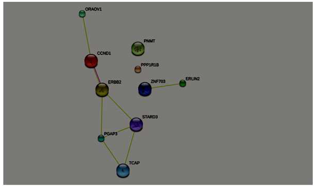 STRINGDB를 topic안에서의 유전자간 interaction분석