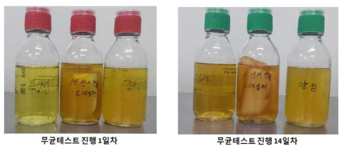 무균테스트 진행결과