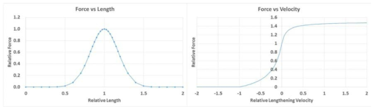 Muscle Property Curve