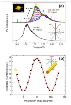 편광의존 PL 과 편광각도 변화에 의한 PL 강도 변화