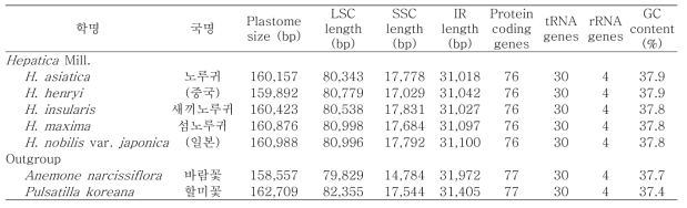 연구대상종의 엽록체 유전체 특징