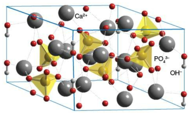 Hydroxyapatite의 구조모형