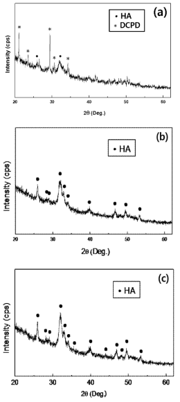 각기 다른 Ca/P 비율을 갖는 합성분말들의 XRD 상합성 결과: (a) Ca/P = 1.4, (b) Ca/P = 1.5 and (b) Ca/P = 1.67