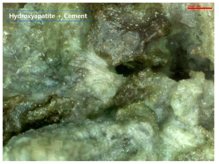 본 연구를 통해 개발된 SM 소재(HA)를 이용한 콘크리트의 고온열 처리(1500℃, 1시간) 후 미세구조 형상