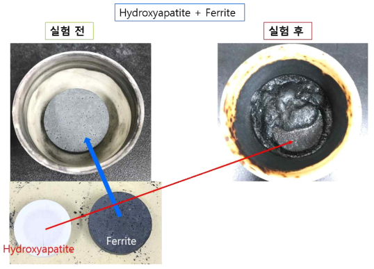 HA와 Sr-ferrite SM 소재들 간의 고온(1500℃, 1시간) 반응 후 형상