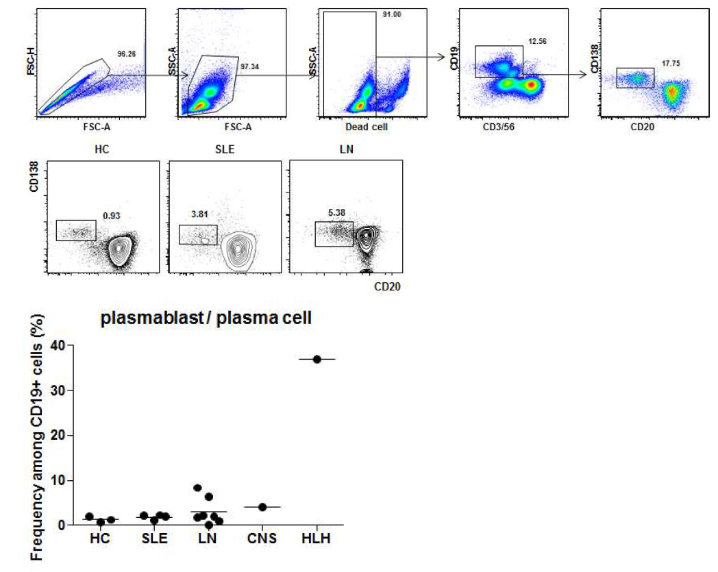 전신홍반 루푸스 신염 환자의 말초 혈액에서의 세포 분석(HC; 정상대조군, LN; 루푸스신염, CNS; 중추신경 루푸스, HLH; 혈구탐식성 림프조직구증)
