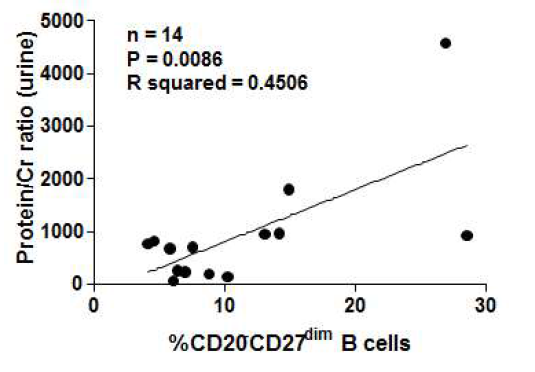 CD27dimCD20- B 세포 빈도와 소변 내 단백뇨 간 상관성 분석