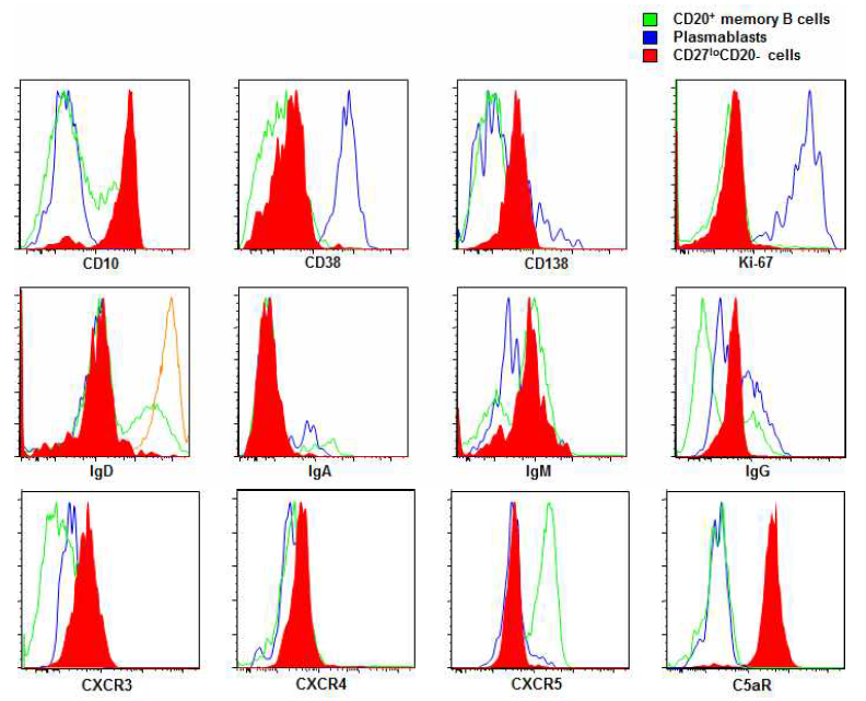 CD27dimCD20- B 세포 빈도의 면역학적 표현형 분석