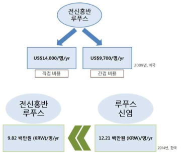 루푸스 및 루푸스 신염으로 인한 직, 간접적 의료 비용 (위; 한국, 아래; 미국)