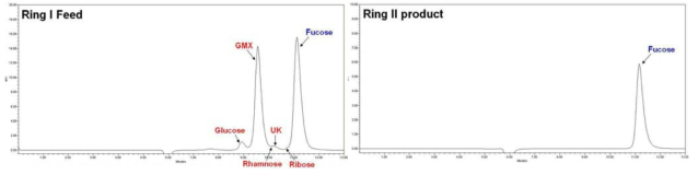 푸코이단 기반 푸코오스 분리 SMB 공정 실험의 Ring I feed 샘플과 Ring II product 샘플에 대한 HPLC 농도분석 크로마토그램 raw data