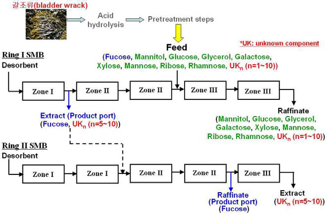 갈조류 기반 푸코오스 분리 SMB 공정의 최적 구조
