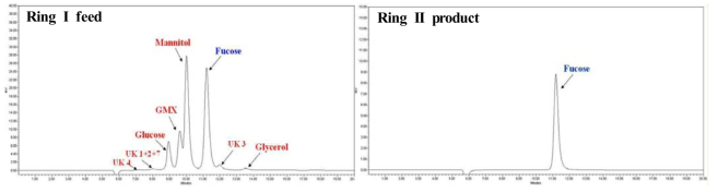 갈조류 기반 푸코오스 분리 SMB 공정 실험의 Ring I feed 샘플과 Ring II product 샘플에 대한 HPLC 농도분석 크로마토그램 raw data