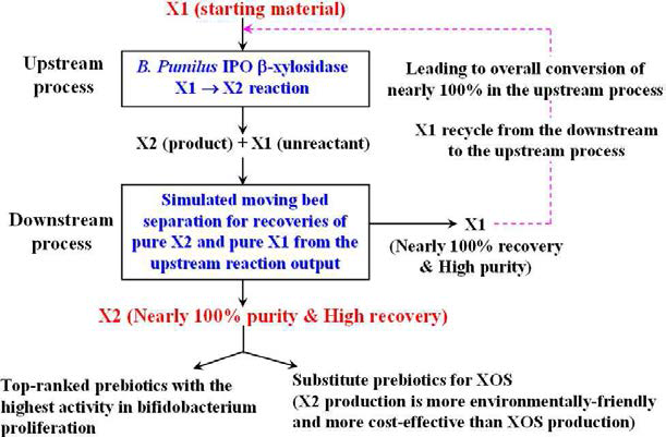 β-xylosidase X1→X2 반응과 SMB 공정기술을 기반으로 하는 X2 생산 방식의 제안. X1: xylose, X2: xylobiose, XOS: xylooligosaccharide