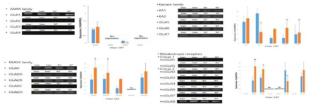 회전근개 건 조직내 glutamate 수용체 분석결과